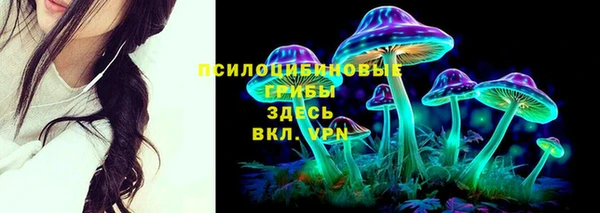 прущие крисы Абаза