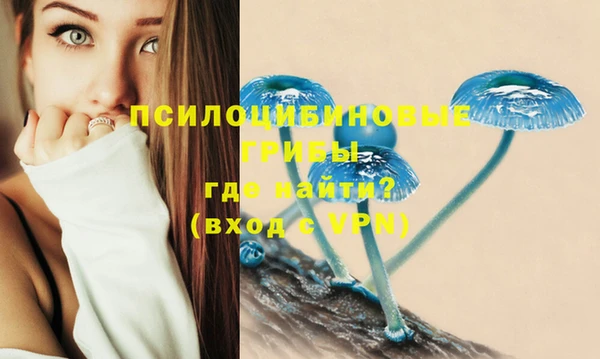 мяу мяу кристалл Рославль